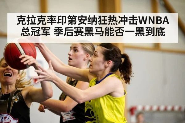 克拉克率印第安纳狂热冲击WNBA总冠军 季后赛黑马能否一黑到底